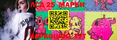 шишки Аша