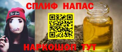 шишки Аша
