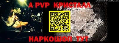 шишки Аша