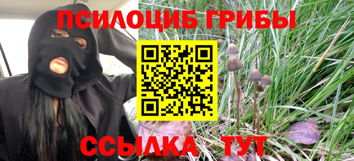 Галлюциногенные грибы Psilocybe  Вход с VPN  Артём 